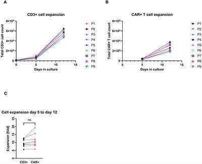Automated manufacturing and characterization of clinical grade autologous CD20 CAR T cells for the treatment of patients with stage III/IV melanoma